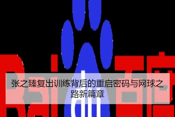 张之臻复出训练背后的重启密码与网球之路新篇章