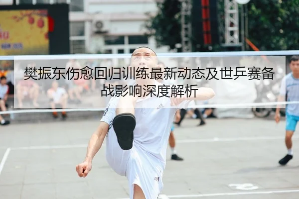 樊振东伤愈回归训练最新动态及世乒赛备战影响深度解析